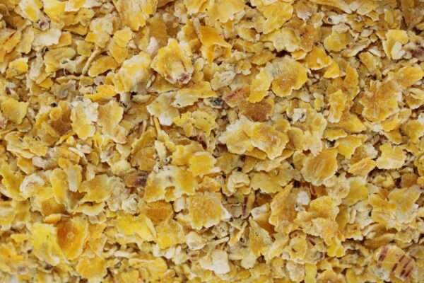 corn flakes maíz cebo pesca