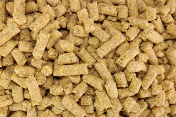baby corn pellets maíz pesca