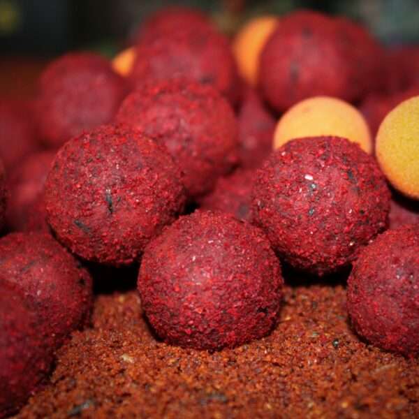 boilies robin red gold pro elite