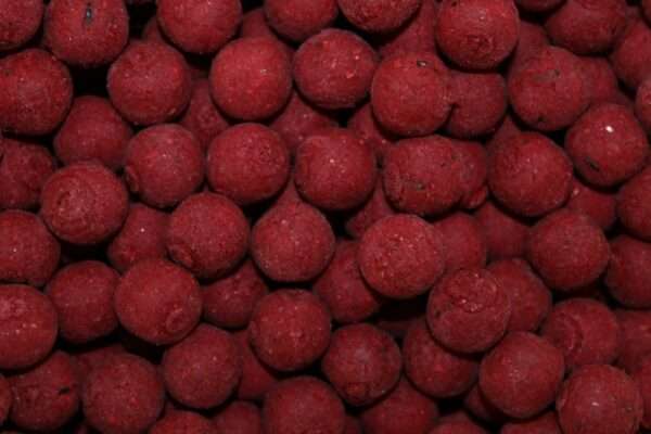 wafter robin red boilie dumbell 14mm