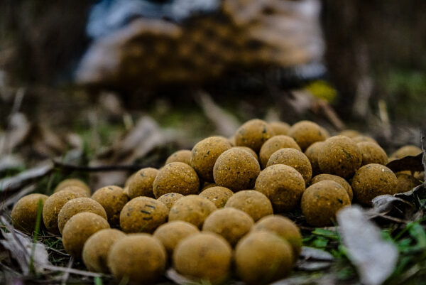 boilies ajo proelite baits