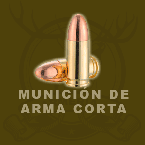 MUNICION ARMA CORTA