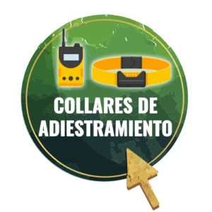 COLLAR ADIESTRAMIENTO