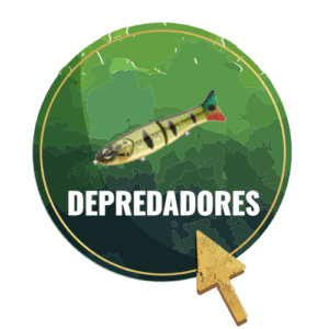DEPREDADORES