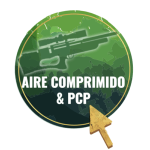 AIRE COMPRIMIDO Y PCP