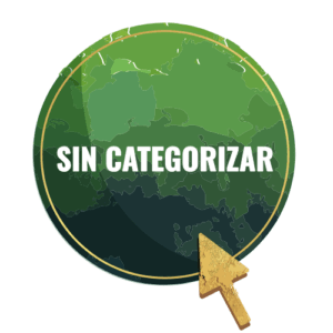 Sin categorizar