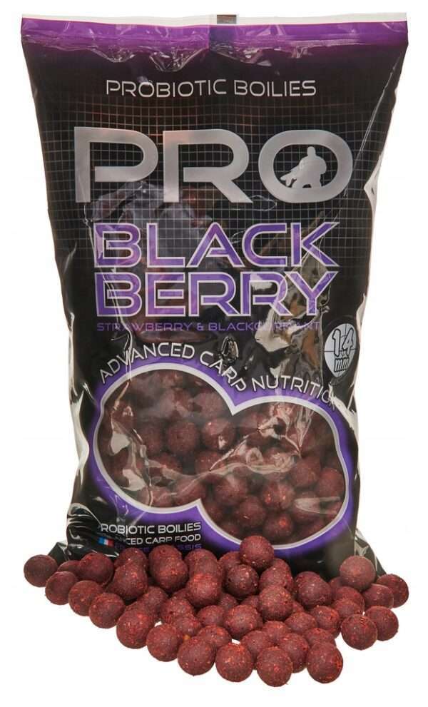 boilies pro blackberry 800g starbaits pesca carpas