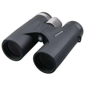 prismático paragon 10x42 HD binocular Vector