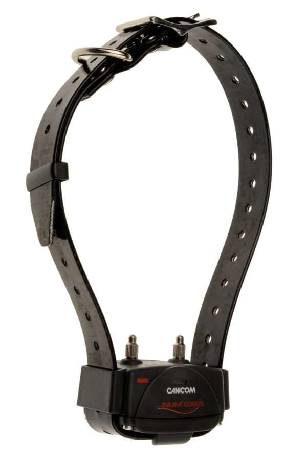 collar adicional canicom 300 800