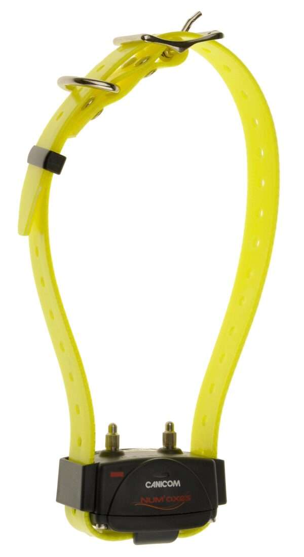 collar adicional canicom 300 800