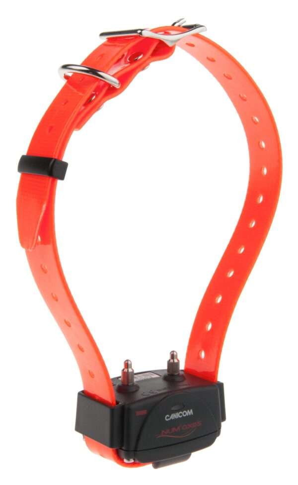 collar adicional canicom 300 800