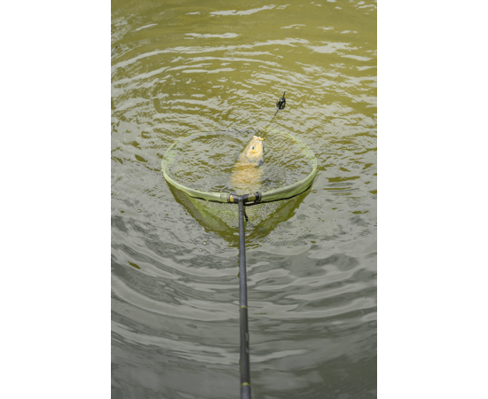 korum sacadera latex 34